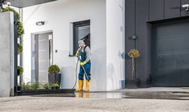 Best Soft Washing  in Schertz, TX